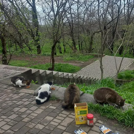 курортна Apartman *