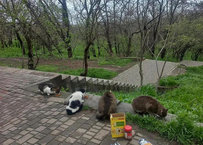 курортна Apartman *